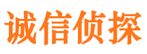 连平市调查取证